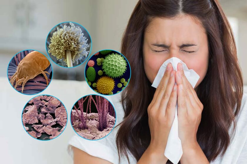 Allergier och allergistädning